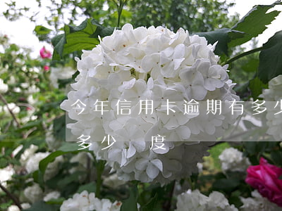 今年信用卡逾期有多少-今年信用卡逾期有多少額度