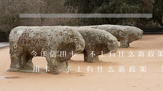 今年信用卡還不上有什么新政策嗎-今年信用卡還不上有什么新政策嗎知乎
