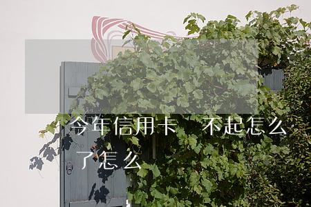 今年信用卡還不起怎么辦(今年信用卡還不起了怎么辦)