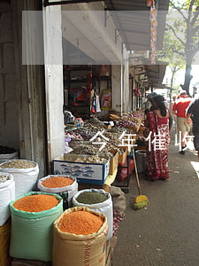 今年催收好做嗎（今年催收好做嗎）