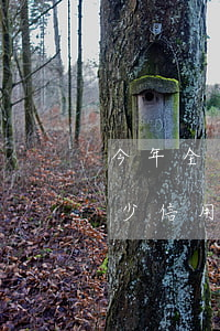 今年全國(guó)信用卡欠多少(今年有多少信用卡逾期)