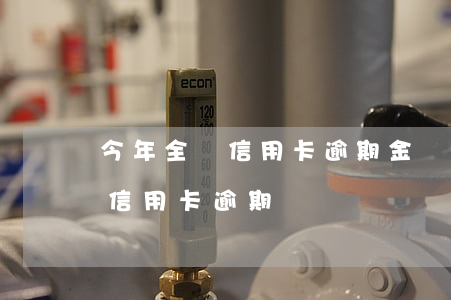 今年全國信用卡逾期金額是多少(全國有多少信用卡逾期)