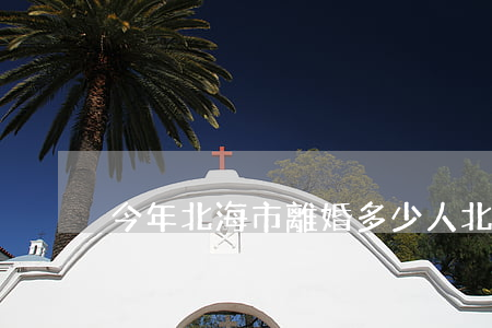 今年北海市離婚多少人(北海離婚辦理時間)