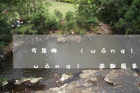 今年哪個網(wǎng)貸逾期人最多(網(wǎng)貸逾期最多可以逾期多久)