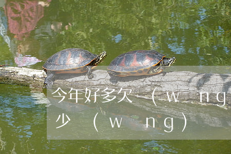 今年好多欠網(wǎng)貸(大家都欠了多少網(wǎng)貸)