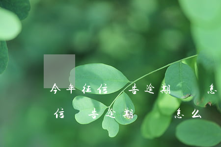 今年征信報告逾期記錄怎么沒有了-今年征信報告逾期記錄怎么沒有了呢