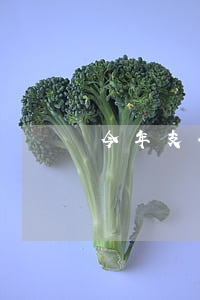 今年支付寶起訴案例