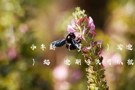 今年新規(guī)定逾期多久會(huì)起訴 逾期多久可以被起訴