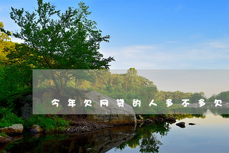 今年欠网贷的人多不多(欠网贷的有多少人)