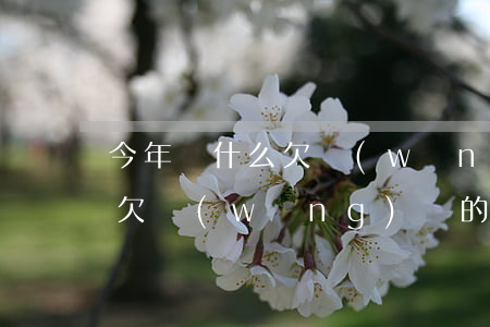 今年為什么欠網(wǎng)貸那么多(今年欠網(wǎng)貸的人多嗎?)