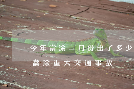 今年當涂二月份出了多少次交通事故嗎(最近當涂重大交通事故)