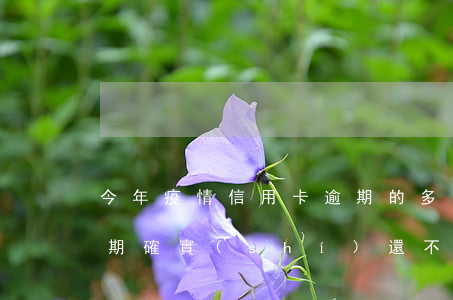 今年疫情信用卡逾期的多嗎(疫情期信用卡逾期,確實(shí)還不起,有影響嗎)