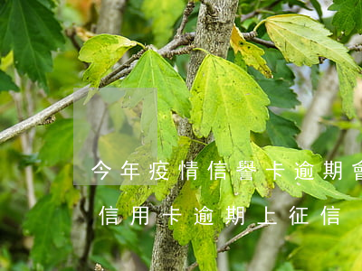 今年疫情信譽卡逾期會被起訴嗎(因疫情導致信用卡逾期上征信)