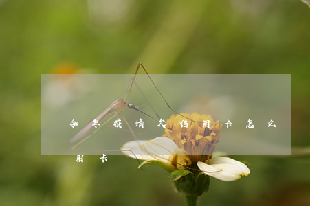 今年疫情欠信用卡怎么辦 疫情影響還不起信用卡