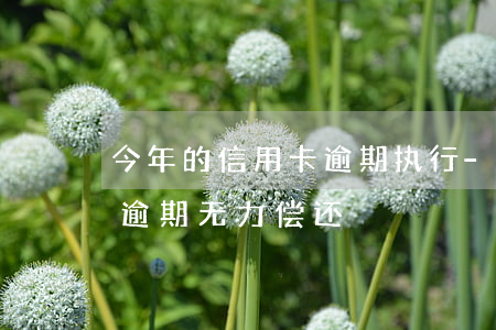 今年的信用卡逾期执行-2021年信用卡逾期无力偿还