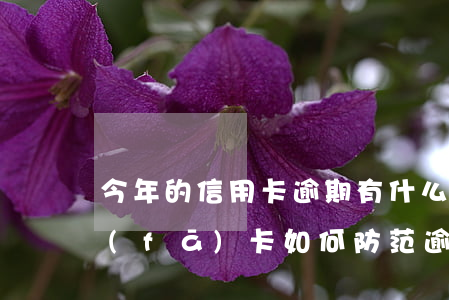 今年的信用卡逾期有什么處理（信用卡前期發(fā)卡如何防范逾期）