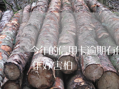 今年的信用卡逾期有什么處理（信用卡逾期一年好害怕）