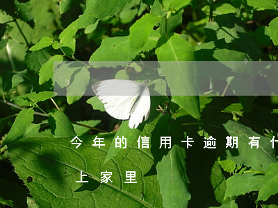 今年的信用卡逾期有什么處理（信用卡逾期要上家里）