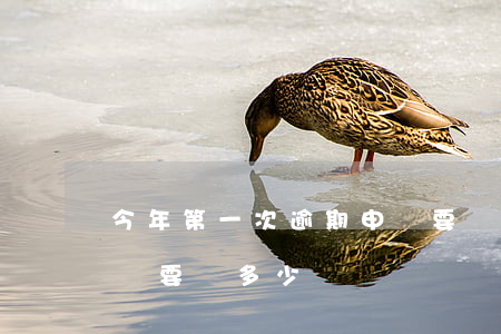 今年第一次逾期申報要罰款嗎（第二次逾期申報要罰多少錢）