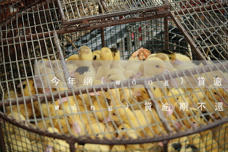 今年網(wǎng)貸逾期怎么不起訴(網(wǎng)貸逾期不還會(huì)起訴嗎)