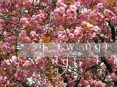 今年網(wǎng)貸逾期會上征信嗎(網(wǎng)貸平臺逾期會上征信嗎)