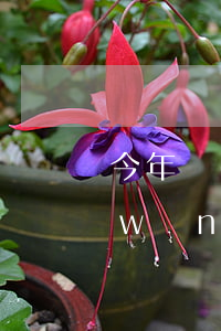 今年網(wǎng)貸逾期的人多不多(網(wǎng)貸逾期有多少人)