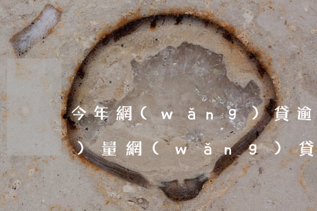 今年網(wǎng)貸逾期起訴數(shù)量(網(wǎng)貸逾期人數(shù))