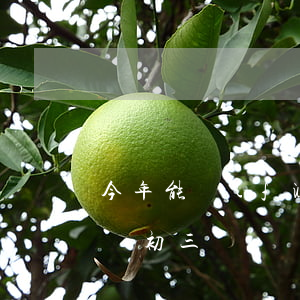 今年能復(fù)讀嗎(今年能復(fù)讀嗎初三)