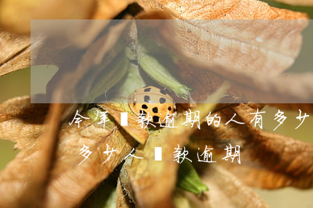 今年貸款逾期的人有多少(全國(guó)有多少人貸款逾期)