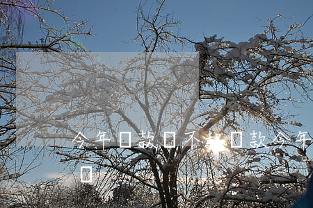 今年貸款還不起(貸款今年還不了明年還可以嗎)