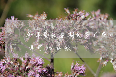 今年贷款逾期的多不多(2017年有逾期几年可以贷款)