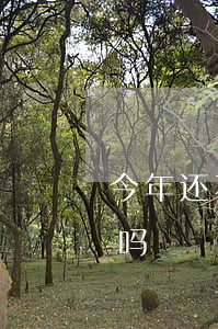 今年还不起贷款怎么办 现在还不上贷款的多吗