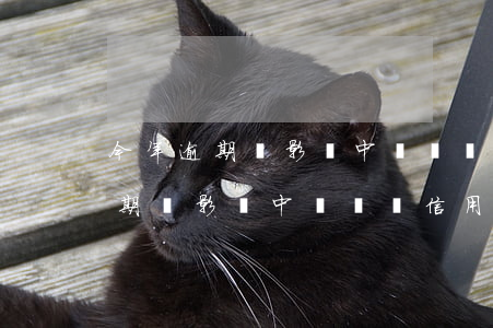 今年逾期會影響中國納稅信用級嗎-今年逾期會影響中國納稅信用級嗎為什么