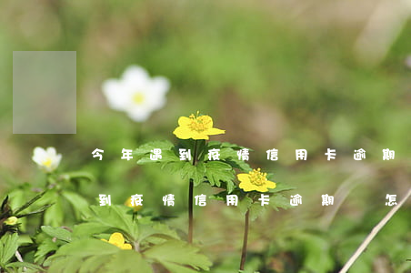 今年遇到疫情信用卡逾期會怎么樣-今年遇到疫情信用卡逾期會怎么樣嗎
