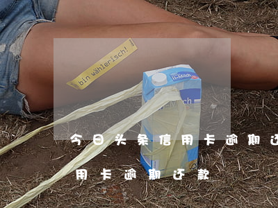 今日头条信用卡逾期还款怎么还（今日头条信用卡逾期还款）