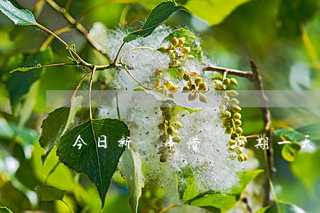 今日新鮮事借唄逾期一天