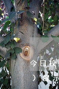 今日校園請(qǐng)假逾期會(huì)提示給老師嗎-今日校園請(qǐng)假逾期會(huì)提示給老師嗎知乎