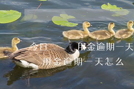 今日頭條備用金逾期一天怎么辦-今日頭條備用金逾期一天怎么辦啊