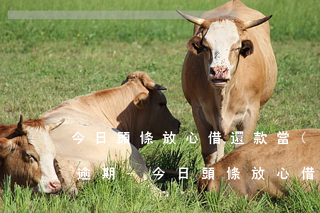今日頭條放心借還款當(dāng)天提示逾期-今日頭條放心借還款當(dāng)天提示逾期怎么辦