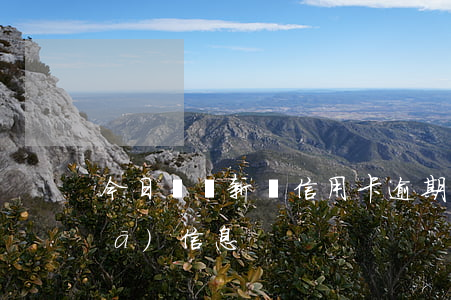 今日頭條新聞信用卡逾期(信用卡逾期發(fā)信息)