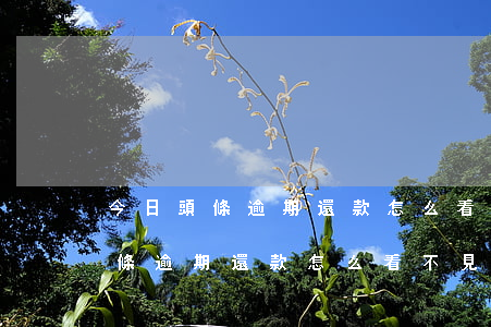 今日頭條逾期還款怎么看不見賬單-今日頭條逾期還款怎么看不見賬單了
