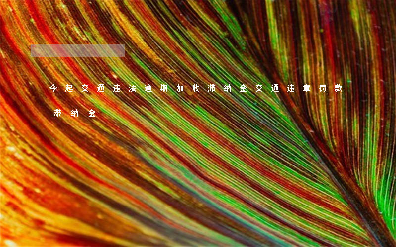 今起交通违法逾期加收滞纳金 交通违章罚款滞纳金