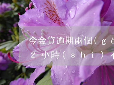 今金貸逾期兩個(gè)月不還款(貸款逾期2小時(shí)有問題嗎)