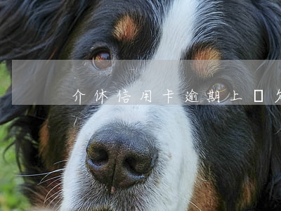 介休信用卡逾期上門(欠信用卡逾期上門催收)