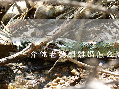 介休老婆想離婚怎么辦