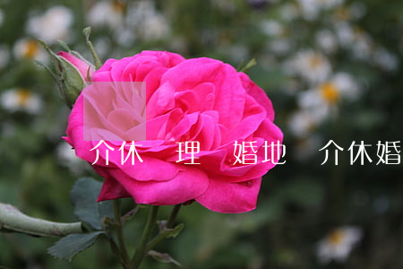 介休辦理離婚地點(介休婚姻介紹所)