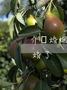 介紹婚姻還可以離婚嗎(什么樣的婚姻可以離婚了)