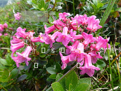 介紹客戶洗錢怎么判(什么是客戶洗錢風(fēng)險(xiǎn)評(píng)估)