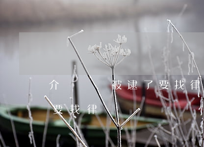介紹賣婬被逮了要找律師嗎(介紹賣淫被逮了要找律師嗎)