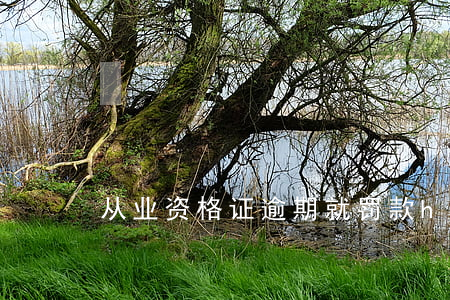从业资格证逾期就罚款(herd什么意思)